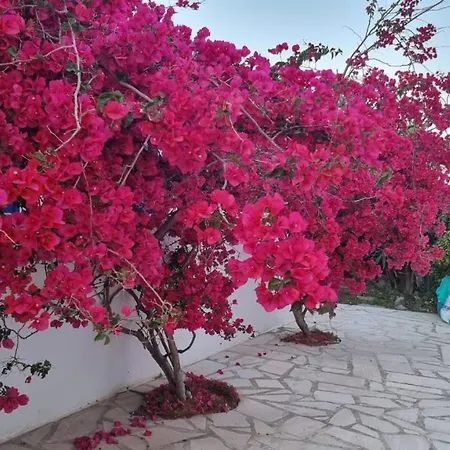 Hidden Gem * Ornos (Mykonos)